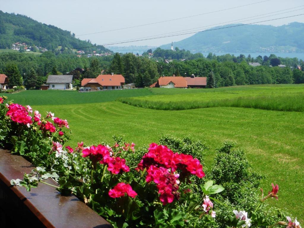 Ferienwohnung Seiringer Attersee Стая снимка